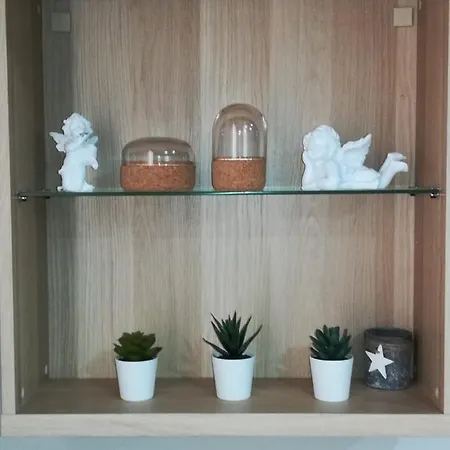 Appartement Cesar Augusto House *